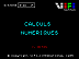 calculs-numeriques