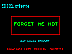 forget-me-not